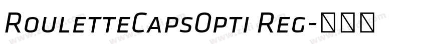 RouletteCapsOpti Reg字体转换